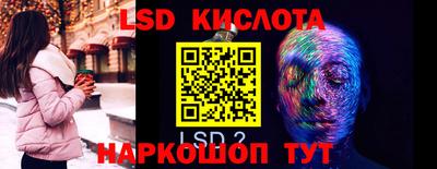 прущие грибы Будённовск