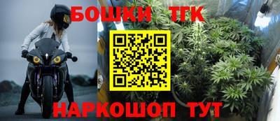 прущие грибы Будённовск