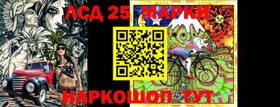 прущие грибы Будённовск