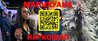 прущие грибы Будённовск