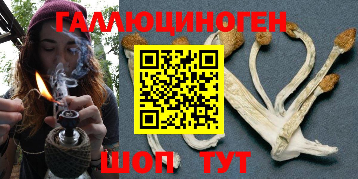 Реж  купить наркотики цена  Вход с VPN  Псилоцибиновые грибы Psilocybe 