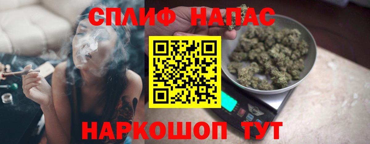МЕФ Реж